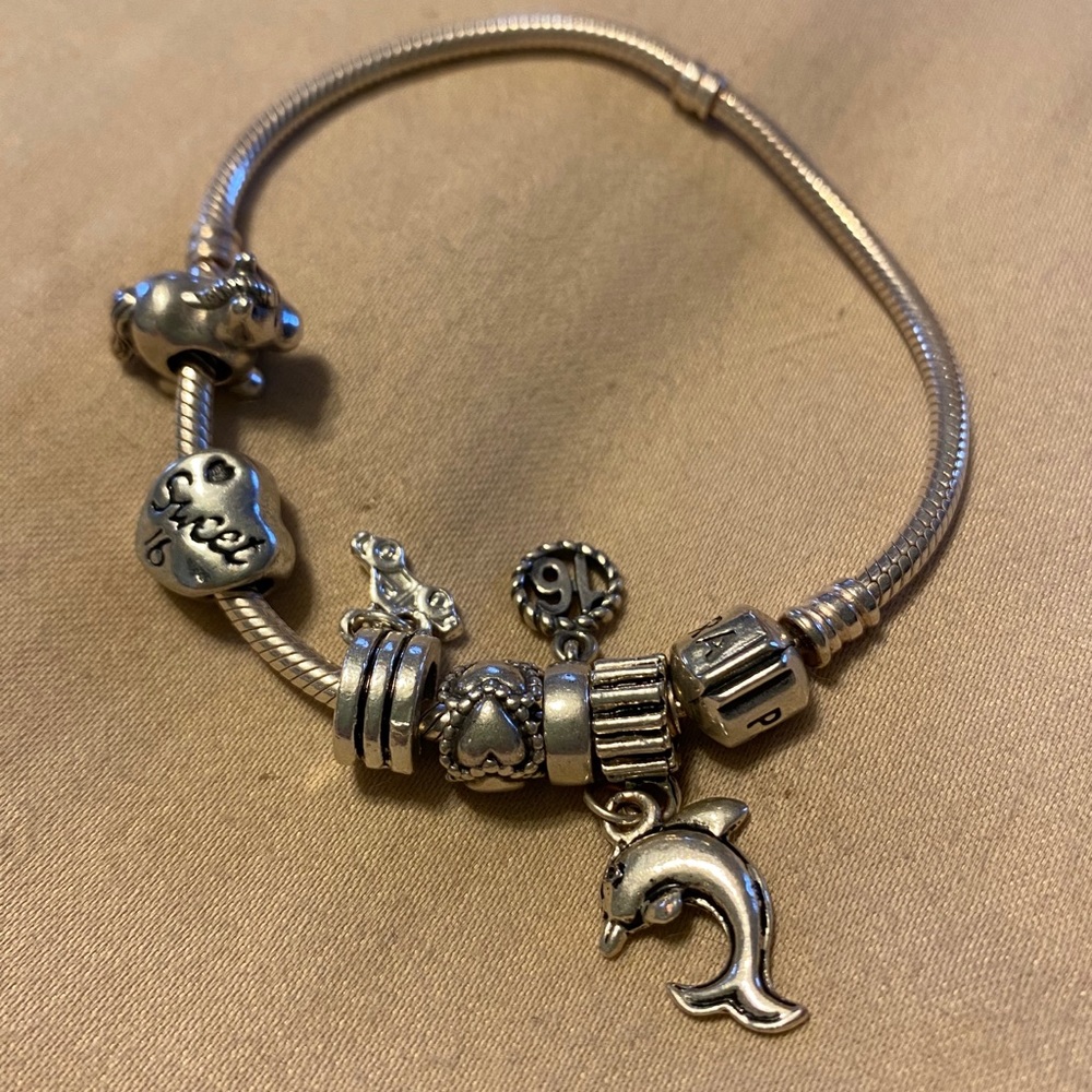 Pandora charm bracelet